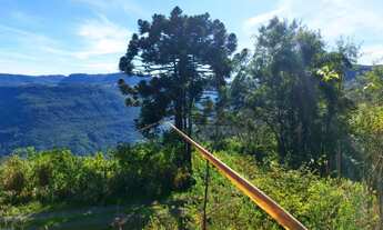 Imagem 6: Sítio / Chácara para Venda em Nova Petrópolis, Linha Brasil Fundos