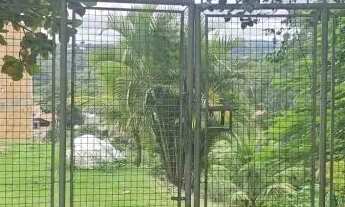 Imagem 2: TERRENO - VALE VERDE - SP