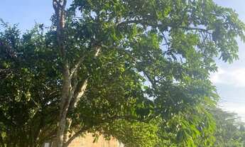 Imagem 5: Vende-se terreno 9.70x50