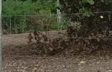 Imagem: Terreno em São José distrito de Maria