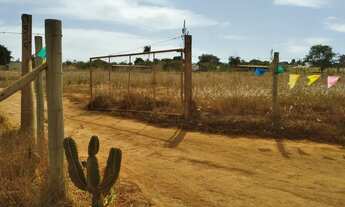 Imagem 3: LOTES ÁREA RURAL DE SOBRADINHO - DF