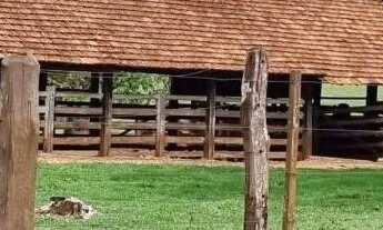 Imagem 7: 60 alqueires em Monte Aprazível/SP EXCELENTE LOCALIZAÇÃO: 8 km do asfalto