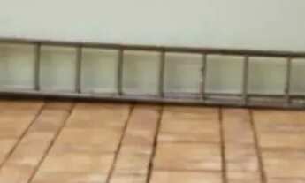 Imagem 5: Casa para Locação no Jardim Petrópolis