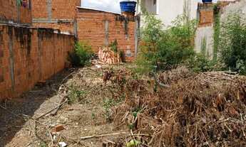 Imagem 2: Lote no bairro Novo Delfino