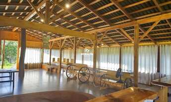 Imagem 6: Chácara em Tijucas do Sul