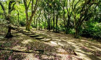 Imagem 6: Raridade de terreno ZR2 com bosque ao lado do Parque São Lourenço!