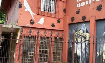 Imagem: Sobrado Comercial 250m2 - Pedreira