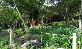 Imagem 3: Lote em Rua Gécio de Souza e Silva - Sambaqui - Florianópolis/SC