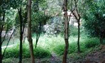 Imagem 4: Estuda Permuta por Aptos na Capital ou Litoral de SP