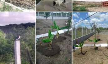 Imagem 2: Sítio em Riachão