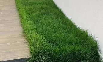 Imagem 3: ALugo excelente casa