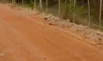 Imagem 4: Terreno em Altos-PI 300m2