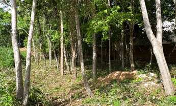 Imagem 7: Fazenda Real- Excelente terreno