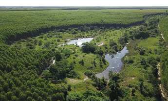Imagem: Rancho com 2 dormitórios à venda por R$