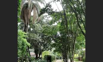 Imagem 3: Vendo Sitio Chácara com venda por R$520.000