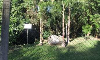 Imagem 3: Terreno em Lomba do Pinheiro