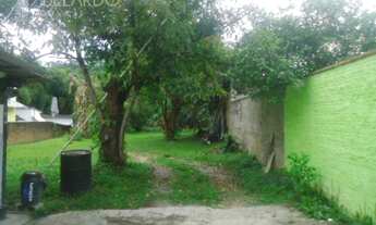 Imagem 5: Blumenau - Terreno Padrão - Garcia