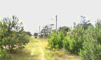 Imagem 3: Terreno em Balneário Atlântico