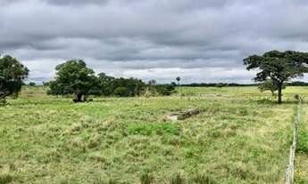 Imagem 2: Excelente propriedade localizada cerca de 45km de Araguaína/To, as margens da rodovia TO22