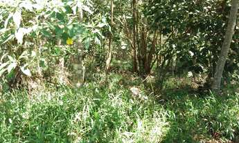 Imagem 6: Terreno à venda, 5265 m² por R$ 500.000,00 - Vila Real Moinho Velho - Embu das Artes/SP