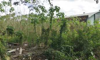 Imagem 3: Terreno em Sarandi