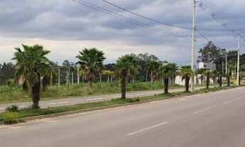 Imagem 3: Terreno em Centro