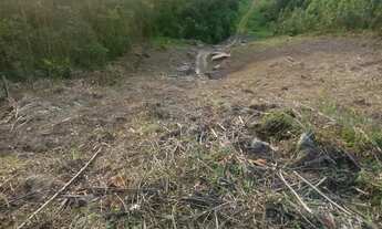 Imagem 2: Lote/Terreno para venda tem 12411 metros quadrados em Bairro dos Remédios - Salesópolis