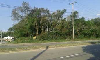 Imagem 5: Terreno em Lomba Do Pinheiro