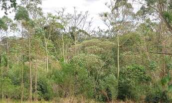 Imagem 2: Paisagem Renoir - Cotia/SP