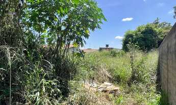 Imagem 4: Lote à venda. vila oliveira, aparecida de goiânia 525 m2