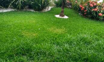 Imagem 5: Sobrado jardim regina Indaiatuba SP