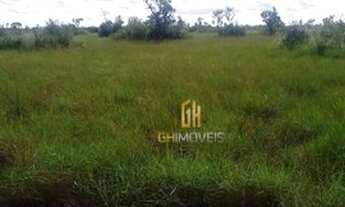 Imagem 4: Fazenda à venda, 2.000 hectares por R$ 20.000.000 - Zona Rural - Cocalinho/MT