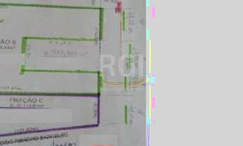 Imagem 3: Area em Maria Regina