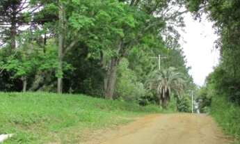 Imagem 5: Sítio em Lageado