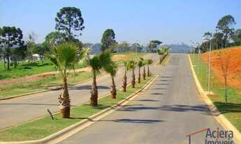 Imagem 6: Vintage Munk (3ª fase) pronto para construir!