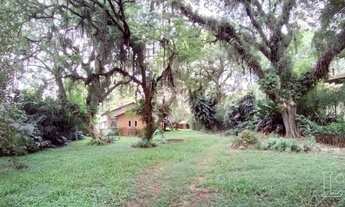 Imagem 3: Terreno em Pedra Redonda