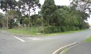 Imagem: Lote/Terreno para venda tem 900 metros quadrados