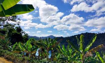 Imagem 7: Sítio em Domingos Martins com Pomar