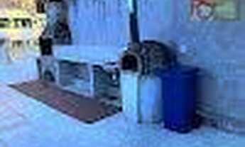 Imagem 5: OPORTUNIDADE ! Apartamento com 3 dormitórios