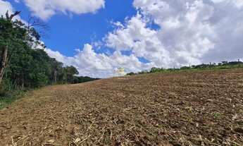 Imagem 7: CAMPO LARGO - Sítio - Rondinha