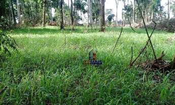 Imagem 5: Fazenda à venda, por R$ 6.000.000 - centro - Colniza/MT