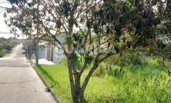 Imagem 3: Terreno plano Zona Sul Porto Alegre 239 m²