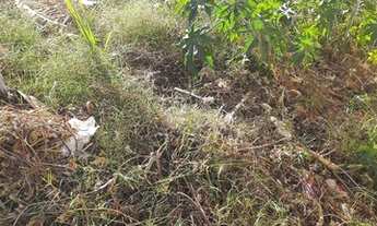 Imagem 7: LOTE 430 METROS JARDIM PATRÍCIA