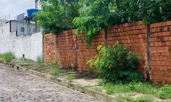 Imagem 3: Exc terreno no Santa Isabel murado pertinho da av. Junior Quadros