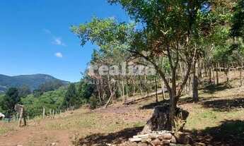 Imagem 5: SÍTIO EM CANELA