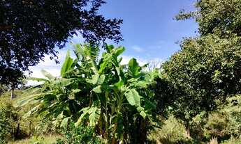 Imagem 5: Sítio 4,0 alqueires com muita água, Monte Alegre de Minas MG