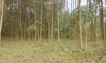 Imagem 2: ITAPETININGA - RURAL - ÁREA RURAL DE ITAPETININGA