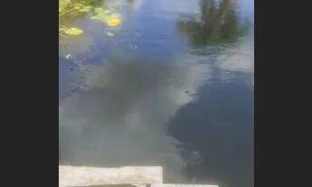 Imagem 3: Sítio com Rio Barreirinhas