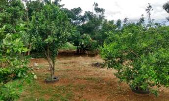 Imagem 3: Chácara de 1 Hectares Poço C/Artesiano em Planaltina DF - Próximo a Acqua Cerrado