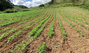 Imagem 2: Sitio Chácara com venda por R$3.500.000